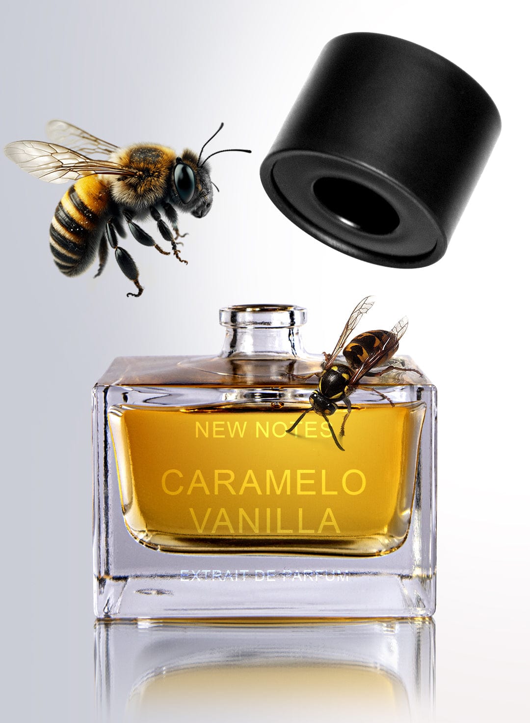 Caramello Vanilla di New Notes 50 ml