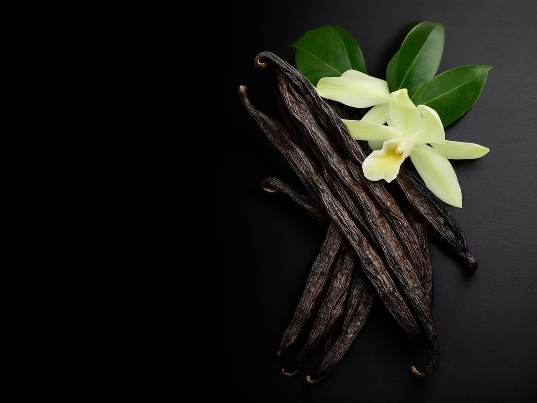 Baccelli di vaniglia essiccati con un fiore di vaniglia e foglie verdi