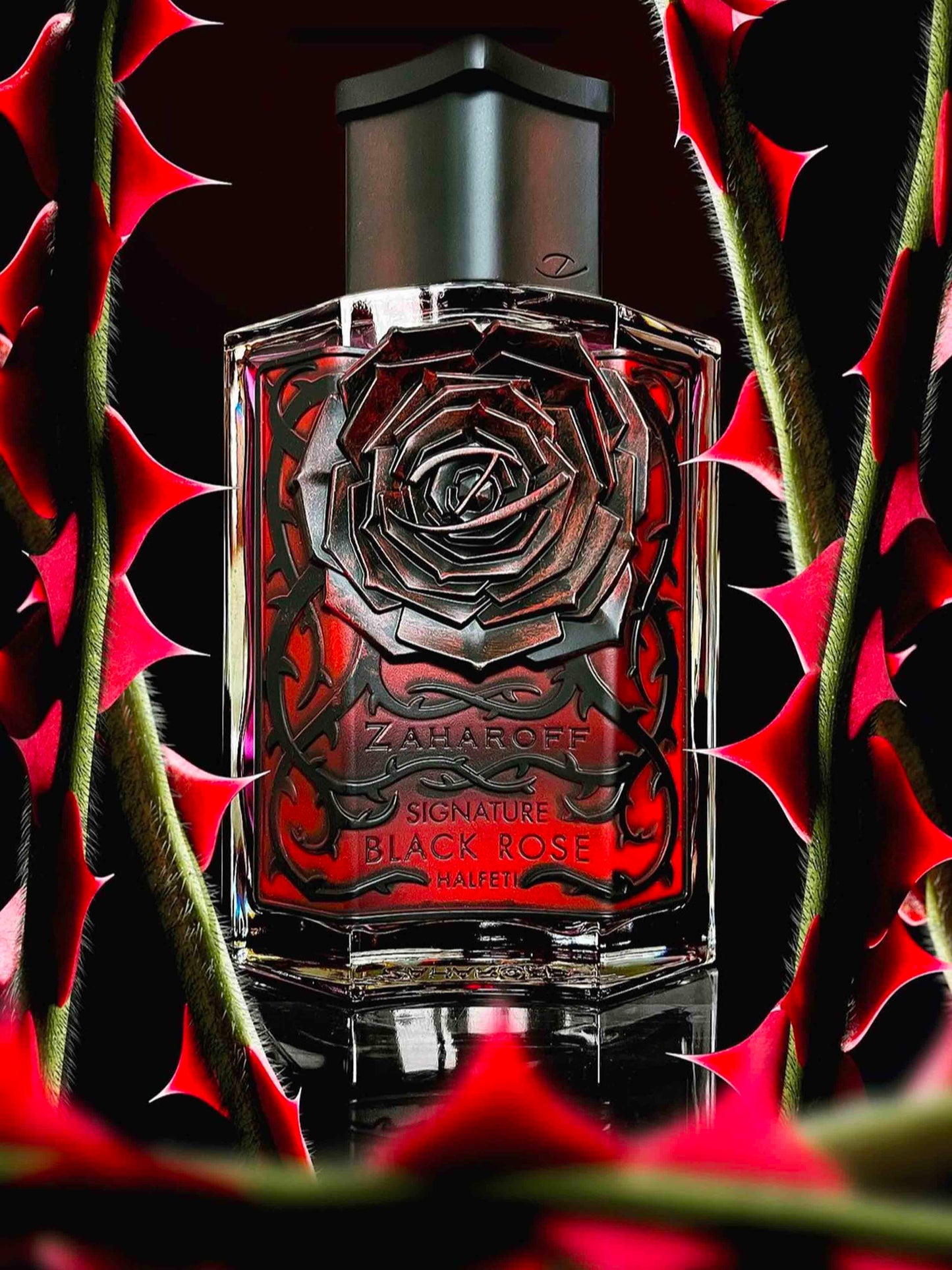 Black rose, Magica rosa nera.