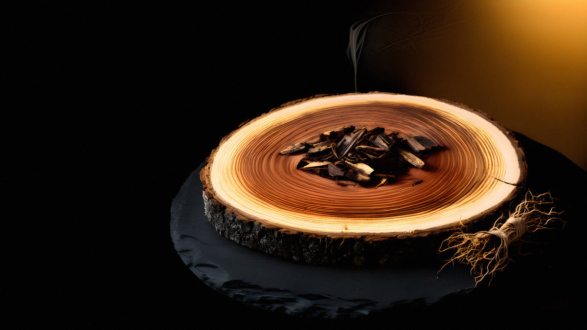 Slice of cedar trunk on slate with smouldering oud chips and a bundle of vetiver roots: the raw materials of woody perfumes