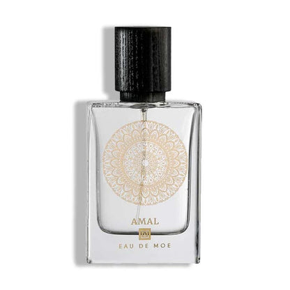 AMAL EDP