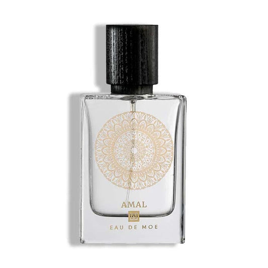 AMAL EDP